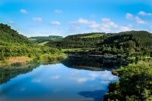 网络化智能系统